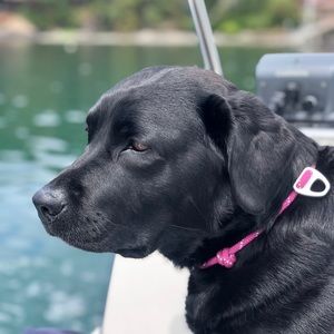 Meet your Posher, Andrea